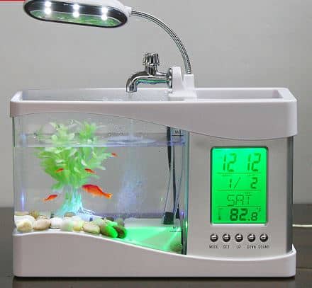 Unique Fish Tanks You Should Check Out