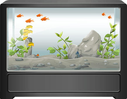 Aquarium Filters: Choosing The Ideal One For Your Tank